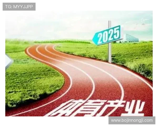 全方位解读体育产业发展趋势与未来机遇，探索全球体育文化融合新路径