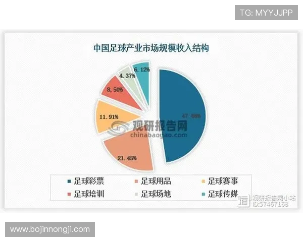 足球的魅力与世界足球文化发展趋势分析以及未来发展前景展望