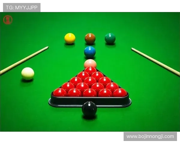 以台球为纽带探索竞技艺术与社交文化融合的魅力世界