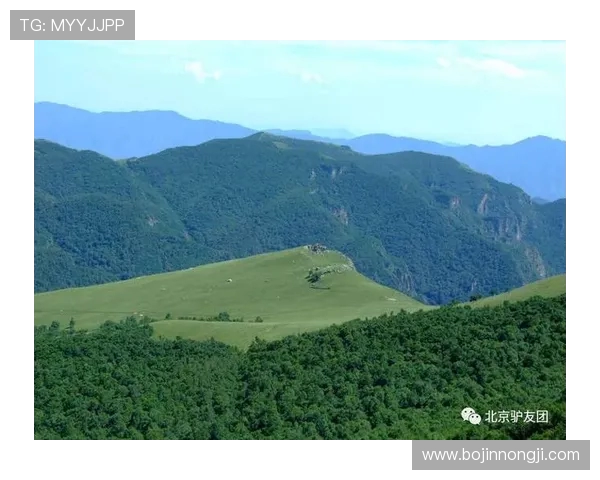 李磊亲授攀岩技巧与心得体会助你轻松征服高峰