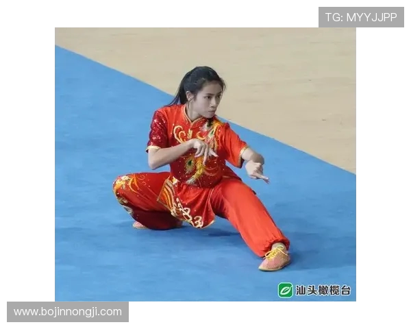 陈军独家分享羽毛球技巧与心得助你提升竞技水平与比赛表现 陈军独家分享羽毛球技巧与心得助你提升竞技水平与比赛表现