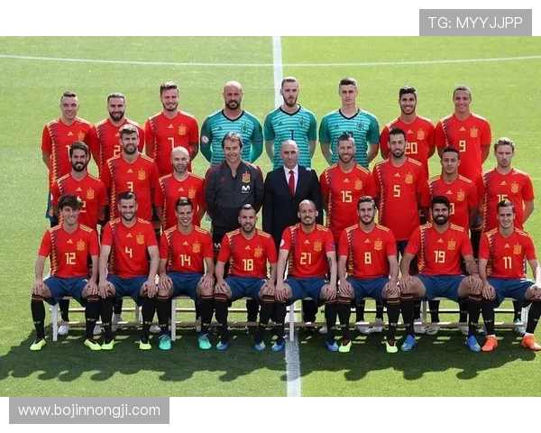 北爱尔兰与挪威足球对决分析及赛前预测展望 北爱尔兰与挪威足球对决分析及赛前预测展望